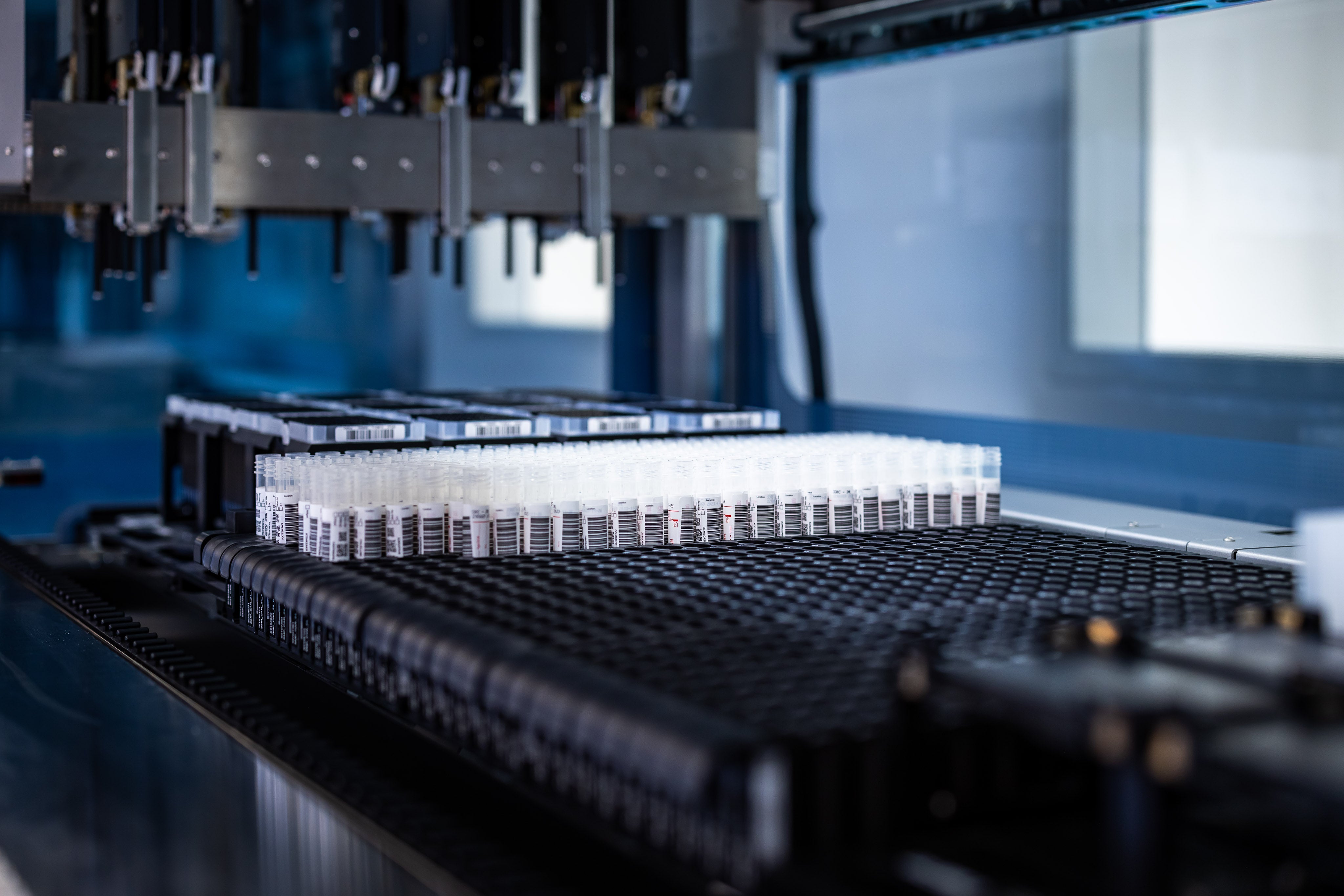 Die qPCR-Methode im Labor.