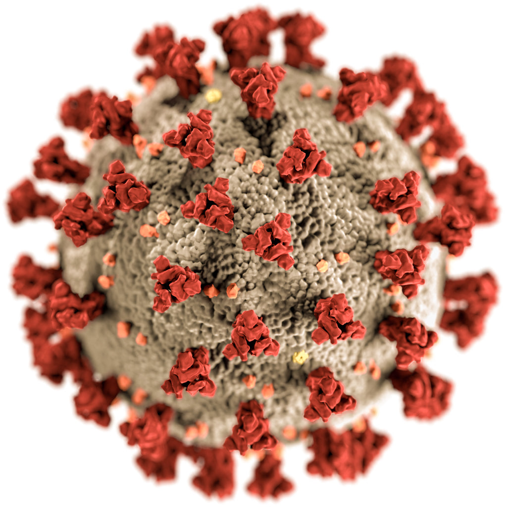 Eine Illustration des Corona-Virus.